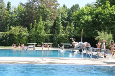 IMG_3541.webp